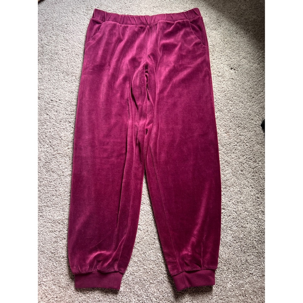 Banana Republic Womens Burgundy Velour Jogger Pants Velvet Sweatpants Large